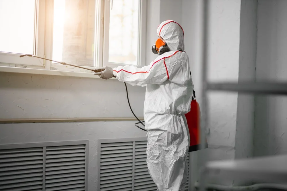 Professional mold remediation services in Sparrows Point, MD